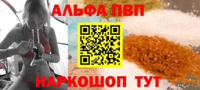 стаф Кингисепп