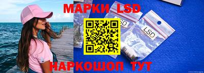 стаф Кингисепп
