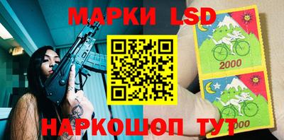 стаф Кингисепп