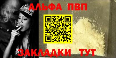 стаф Кингисепп