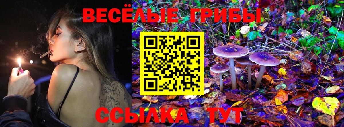 Псилоцибиновые грибы MAGIC MUSHROOMS Екатеринбург