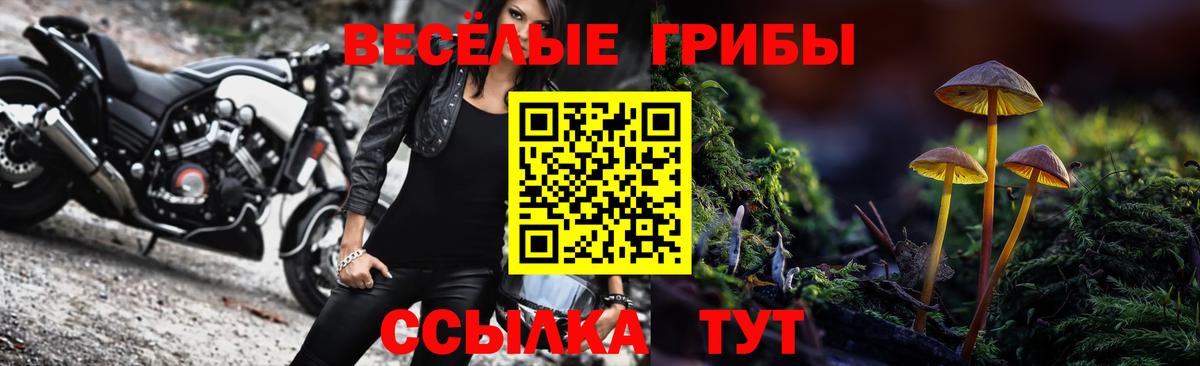 Галлюциногенные грибы Psilocybe  Вход с VPN  Екатеринбург  Галлюциногенные грибы Psilocybine cubensis 
